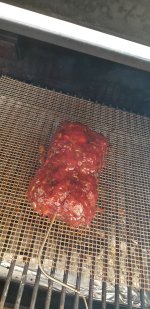 Resized_20180826_180301_2113.jpeg