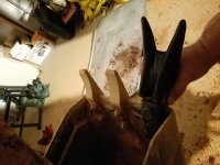 20180921_205720.jpg