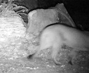 ML2_8_26.jpg