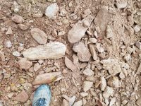 20180922_175420.jpg