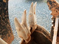 20180922_173510.jpg