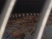 IMG_7420[1].JPG