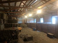 IMG_20181127_073833.jpg
