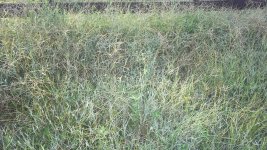 100_0910.JPG