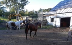 20180923_171653.jpg