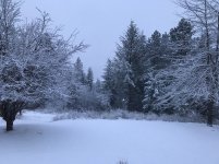 IMG_0064.jpg