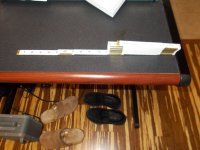 DSCN0020.JPG