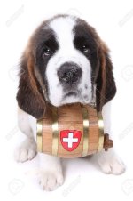 8059249-saint-bernard-puppy-with-a-rescue-barrel-around-the-neck.jpg