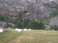 IMG_20180830_180726.jpeg