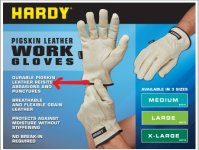 gloves.jpg