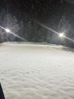snow 3.jpg