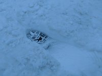 IMG_20181129_165313.jpg
