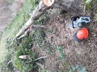 EGO chainsaw.jpg