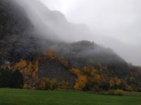 IMG_20181013_135959.jpeg