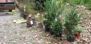 20181013_101639_001.jpeg
