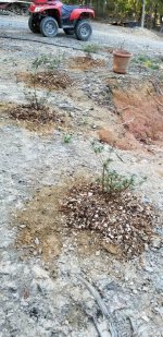 20181013_172207.jpeg