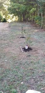 20181013_172514.jpeg