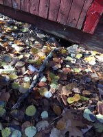 IMG_0170.JPG