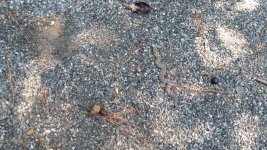 20180926_110615.jpg