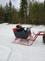 sleigh2018b.jpg