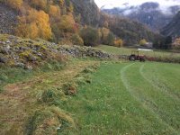 IMG_20181015_125805.jpeg