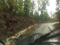 Storm1.jpg