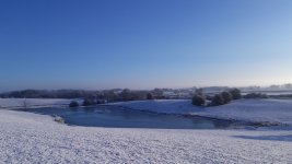 Frozen pond.jpg