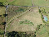 DJI_0229.jpeg