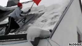 IMG_3679.gif