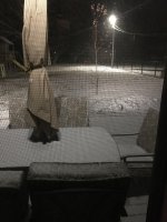 Snow squall 20181109.JPG Snow squall 20181109.JPG