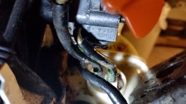 20181230_123150.jpg 20181230_123150.jpg