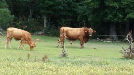 20160730_103055.jpg