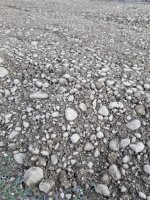 20181205_114047.jpeg 20181205_114047.jpeg