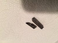 IMG_1010.JPG
