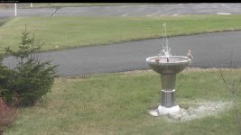 fountain nov 10 852am 0C.jpg