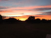 IMG_3782.jpg