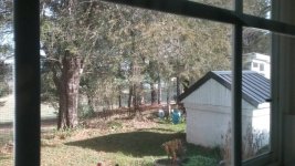 20181206_103406.jpeg