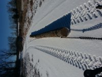 20180118_120417.jpg