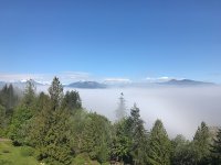 IMG_9569.jpeg