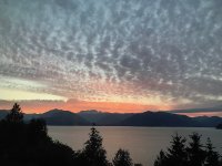 IMG_9896.jpeg