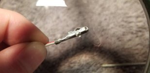 20190101_231013.jpeg