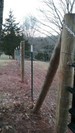 20190101_163017.jpeg