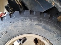 20181209_2.jpg