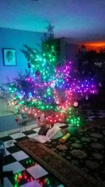20181209_172138.jpeg