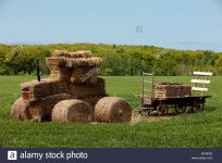 haytractor937237.jpg