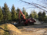 tree guys last day-chipping 009_1.JPG
