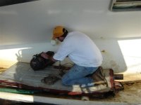 735901-Hurricane Katrina 061 (Small).jpg