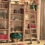 812964-Library Ladder.jpg