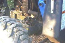 656036-bluesnake.jpg