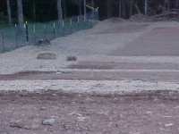 736701-MVC-014S.JPG